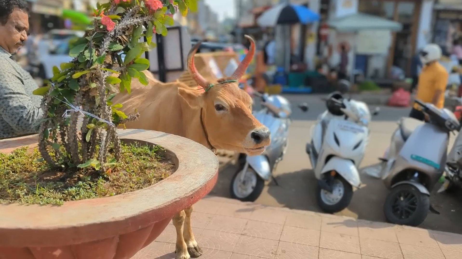 India